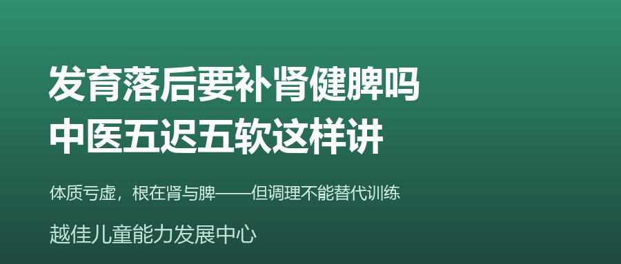 天津 发育迟缓 中医五迟五软 补肾健脾 越佳儿童能力发展中心