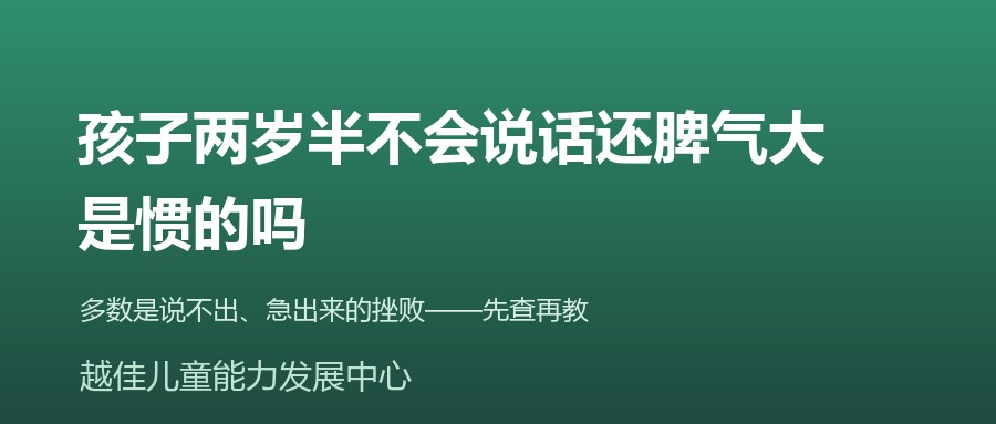 天津 两岁半不说话 装傻法 言语训练 越佳儿童能力发展中心